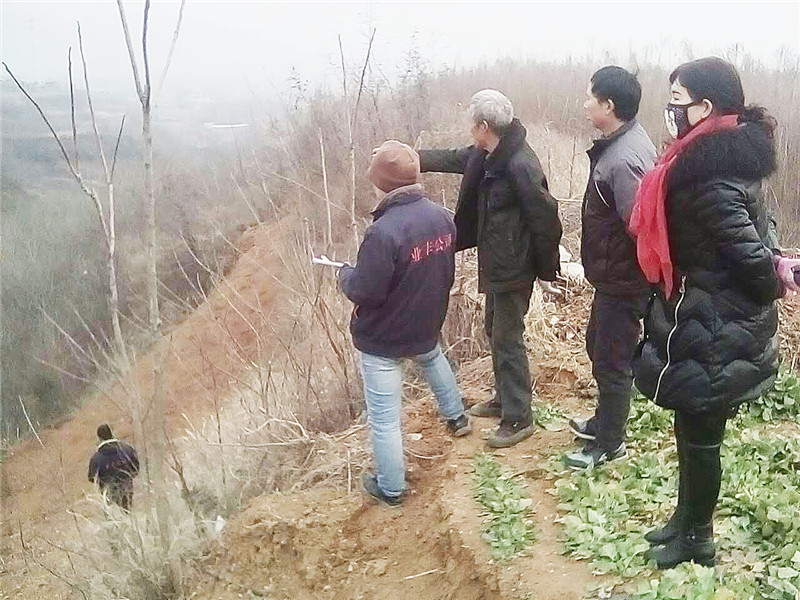 不動產(chǎn)確權(quán)地籍測繪